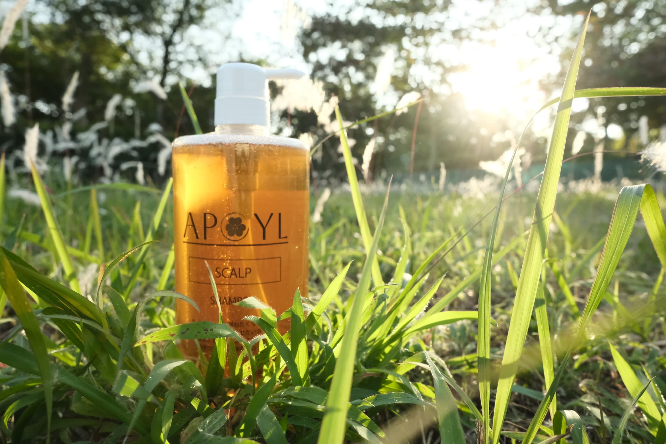 從敏感到健康:Scalp 洗護系列如何重塑你的頭皮環境